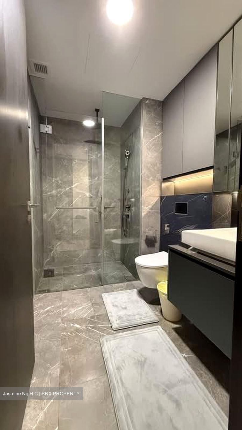 Irwell Hill Residences (D9), Apartment #557021691